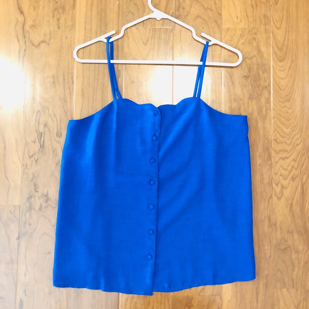 Naked Zebra blue top.